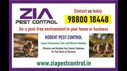 Cockroach Control near me | Up to 25 % off 7043
